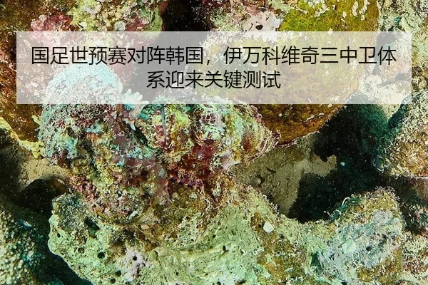 guo-zu-shi-yu-sai-dui-zhen-han-guo-yi-wan-ke-wei-qi-san-zhong-wei-ti-xi-ying-lai-guan-jian-ce-shi-2-546.jpg
